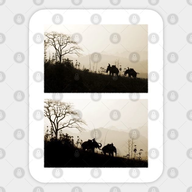 Elephants Trekking In The Jungle Diptych Photographs Sticker by VintCam